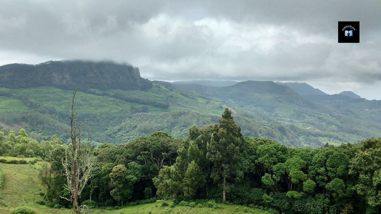 India second Kashmir kerala secret of the sandalwood forests hills turn blue in 12 years