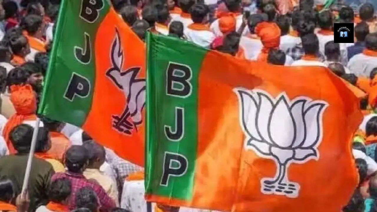 Political parties received three times more money in 2025 Political Donation Report